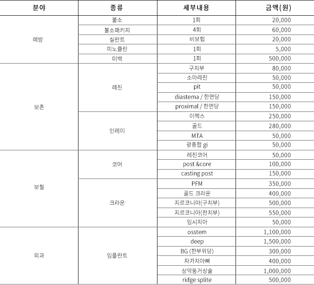 비급여 진료 항목